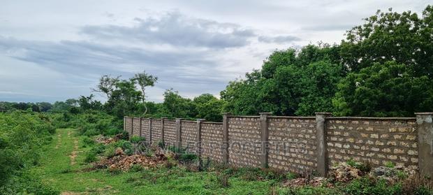 Kuruwitu Vipingo,10 Acre on Sale - thumbnail 10