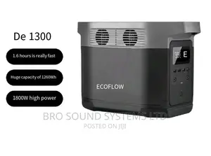 Portable Power Station Ecoflow Delta 1300