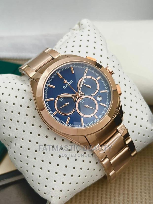 Rado Luxury Watch - main view