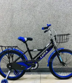 Blue Bike Big Kid