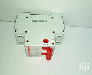 Double Pole Switch