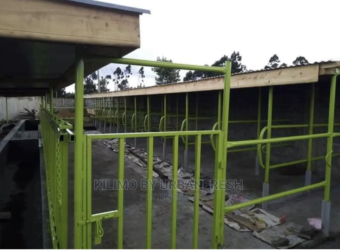 Cowshed 10 Cows All Inclusive Labour Materials