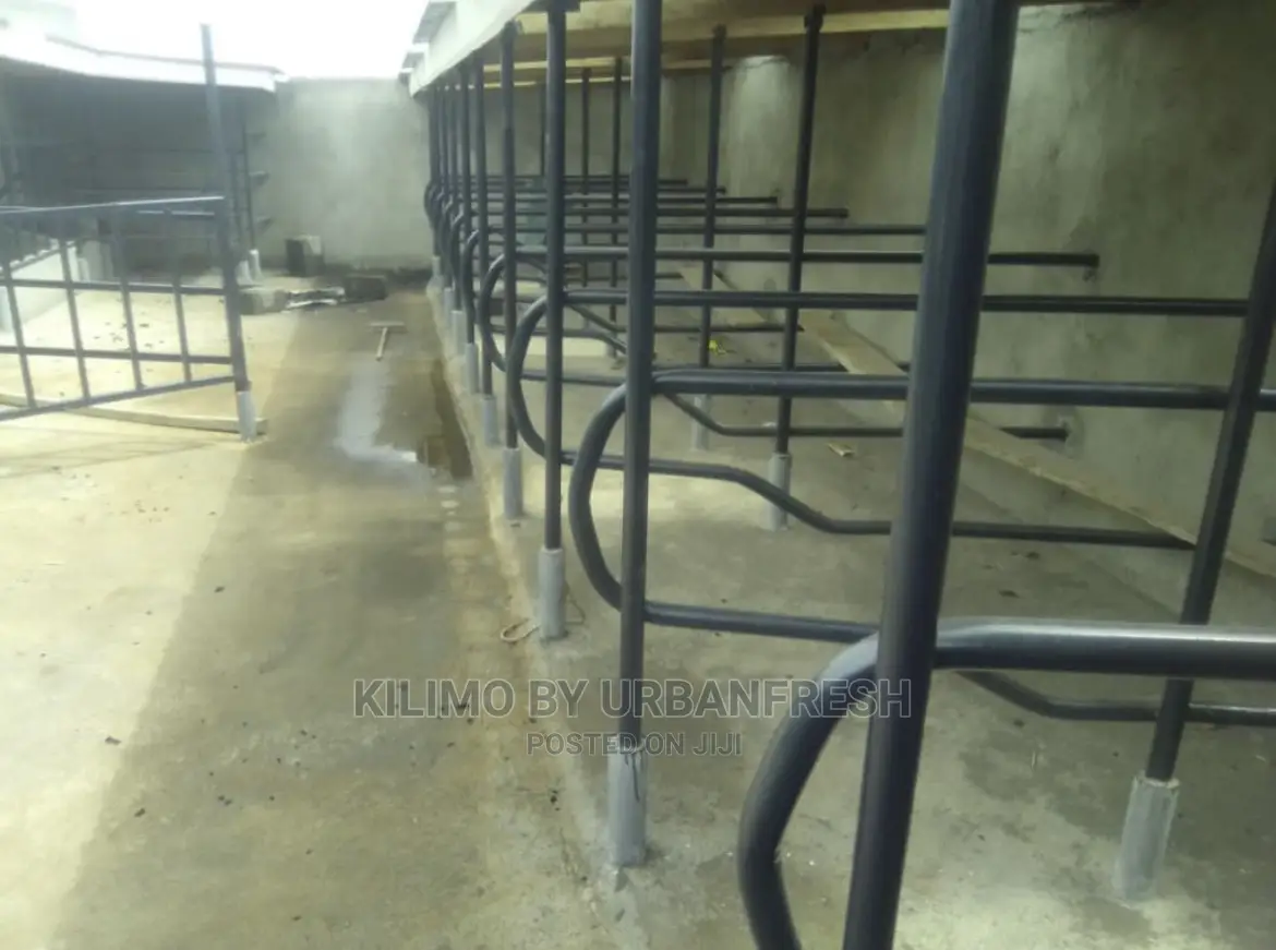 Cowshed 10 Cows All Inclusive Labour Materials