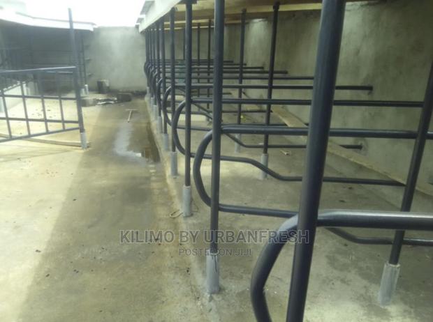 Cowshed 10 Cows All Inclusive Labour Materials - thumbnail 4
