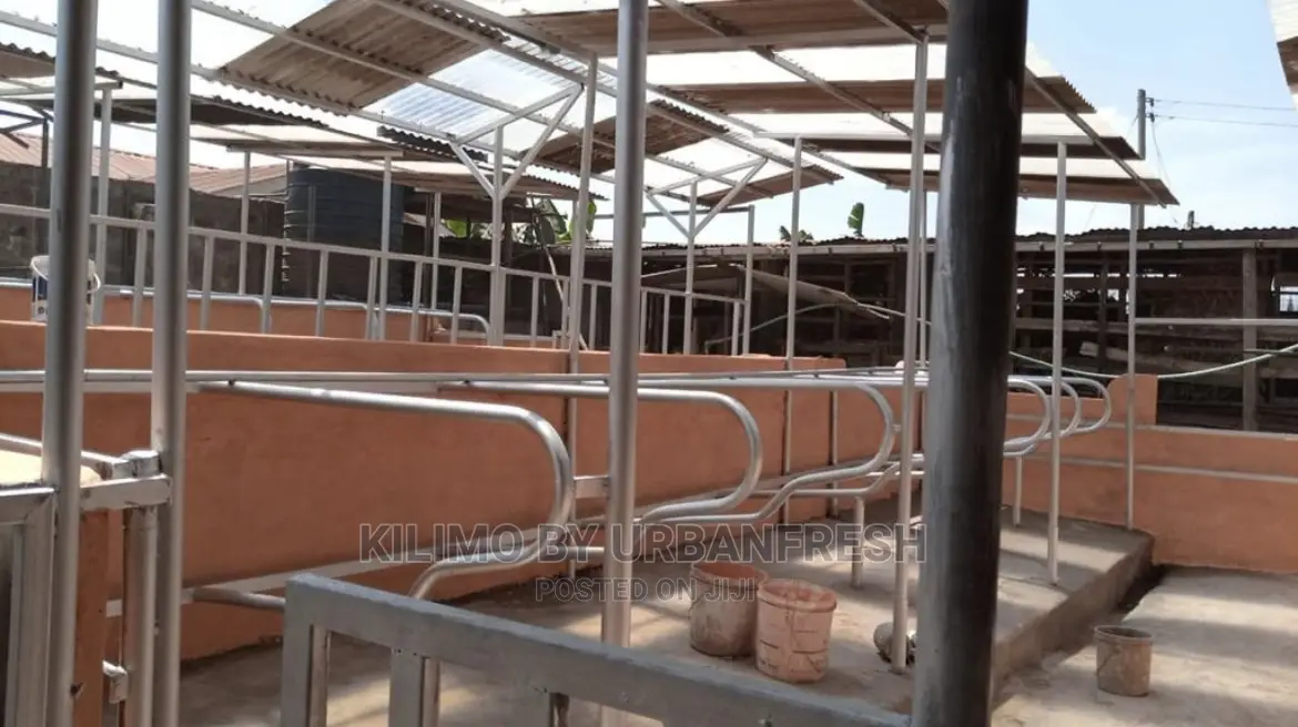 Cowshed 10 Cows All Inclusive Labour Materials