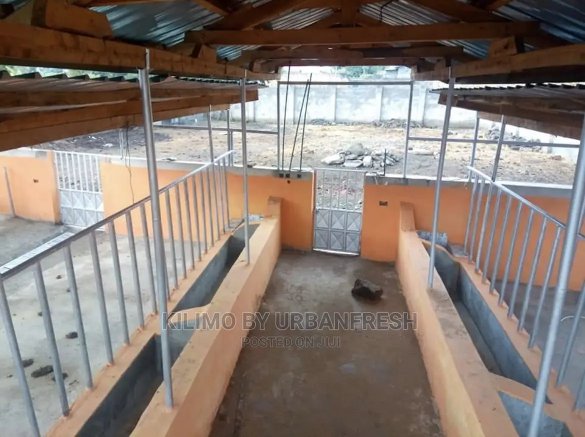 Cowshed 10 Cows All Inclusive Labour Materials