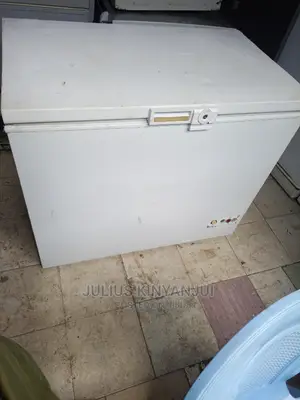 Deep Freezer 300l