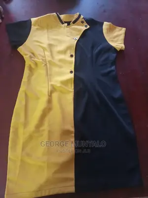 Ladies Hotel Staff Dresses