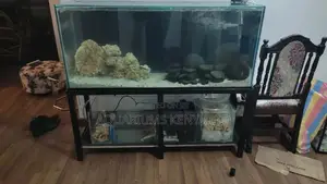 5foot Aquarium 405L Aquarium With Stand and Bottom Sump
