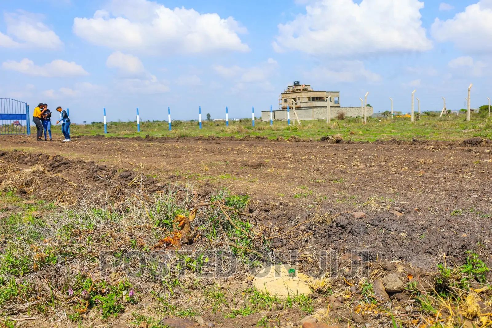 Investor's Paradise. Low Cost, High Value Kamakis. ^KK