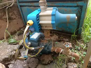 Pedrollo Boaster Pump 0.5HP