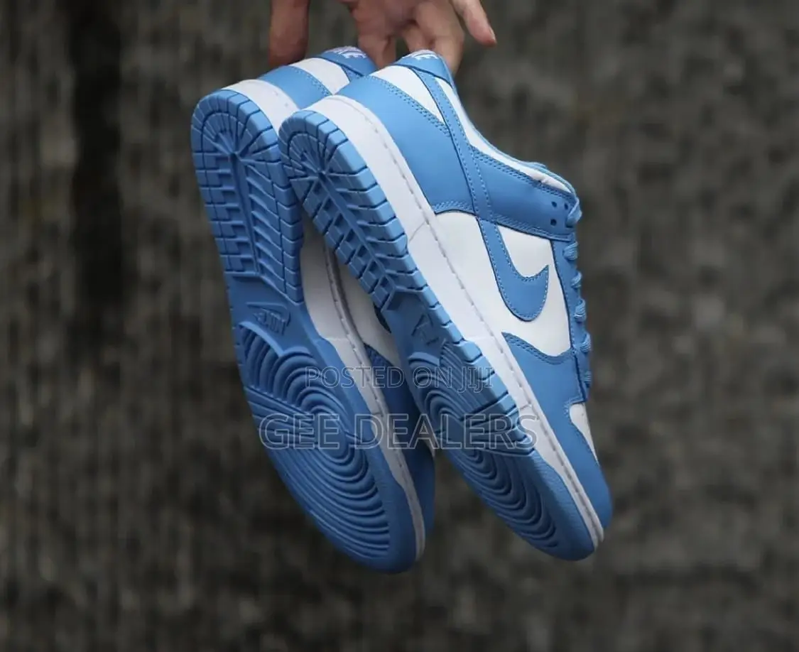 Nike SB Sneakers