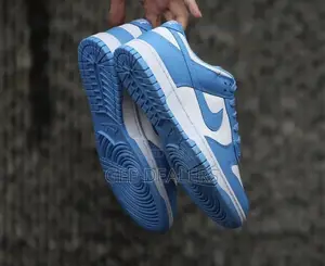 Nike SB Sneakers