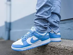 Nike SB Sneakers