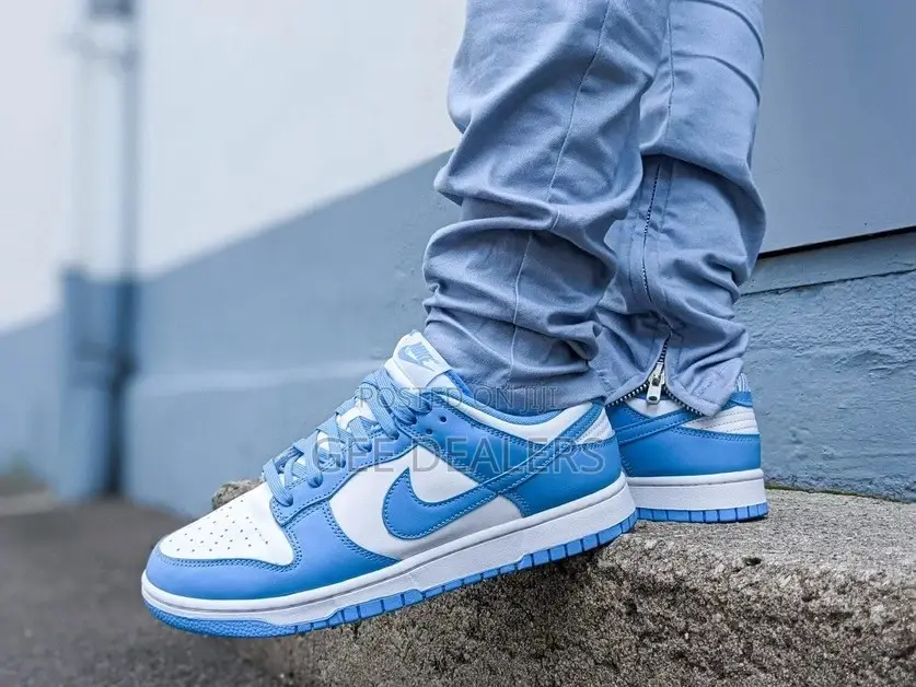 Nike SB Sneakers