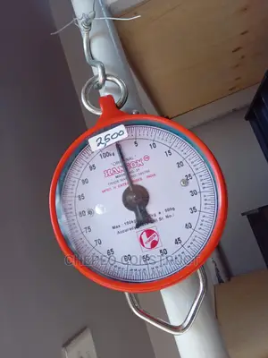 Hannson Scale