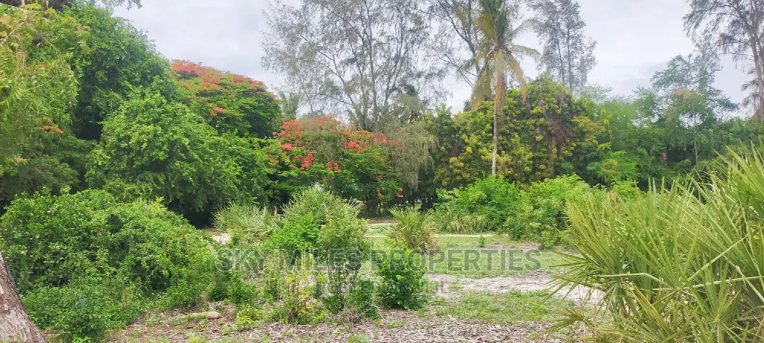 Second Row From the Beach,10 Acres on Sale.