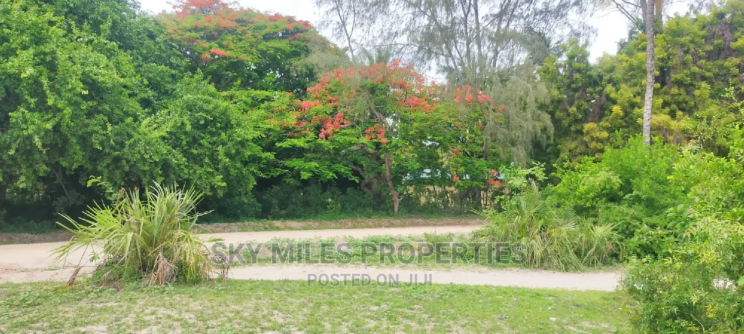 Second Row From the Beach,10 Acres on Sale.