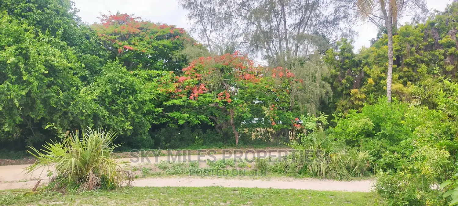Second Row From the Beach,10 Acres on Sale.