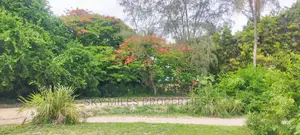 Second Row From the Beach,10 Acres on Sale.