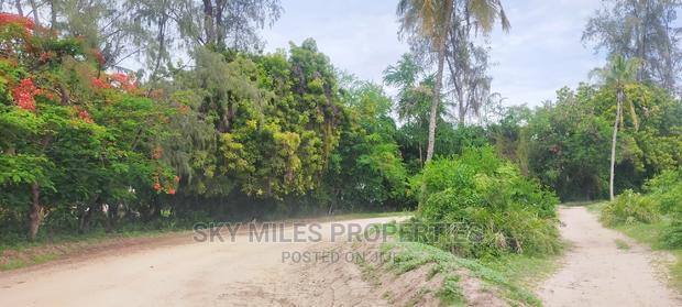 Second Row From the Beach,10 Acres on Sale. - thumbnail 6