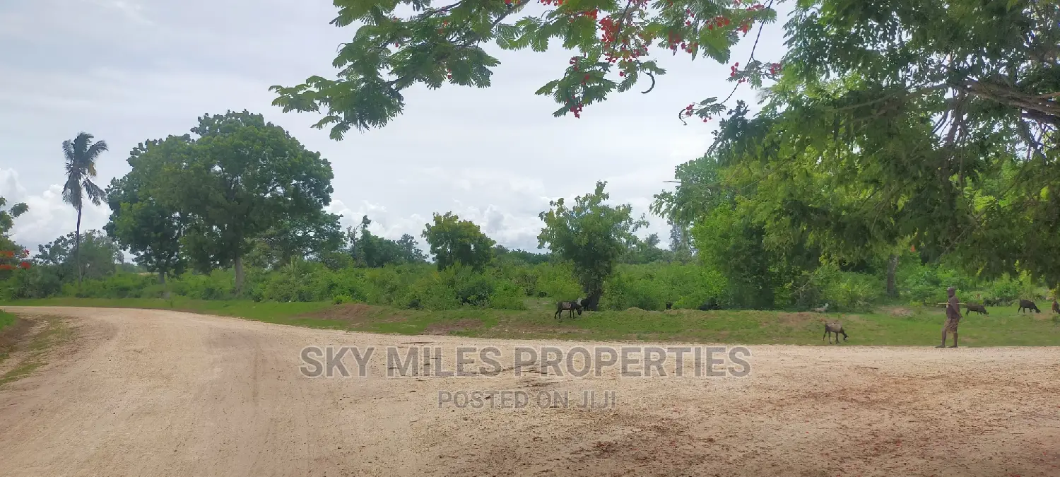 Second Row From the Beach,10 Acres on Sale.