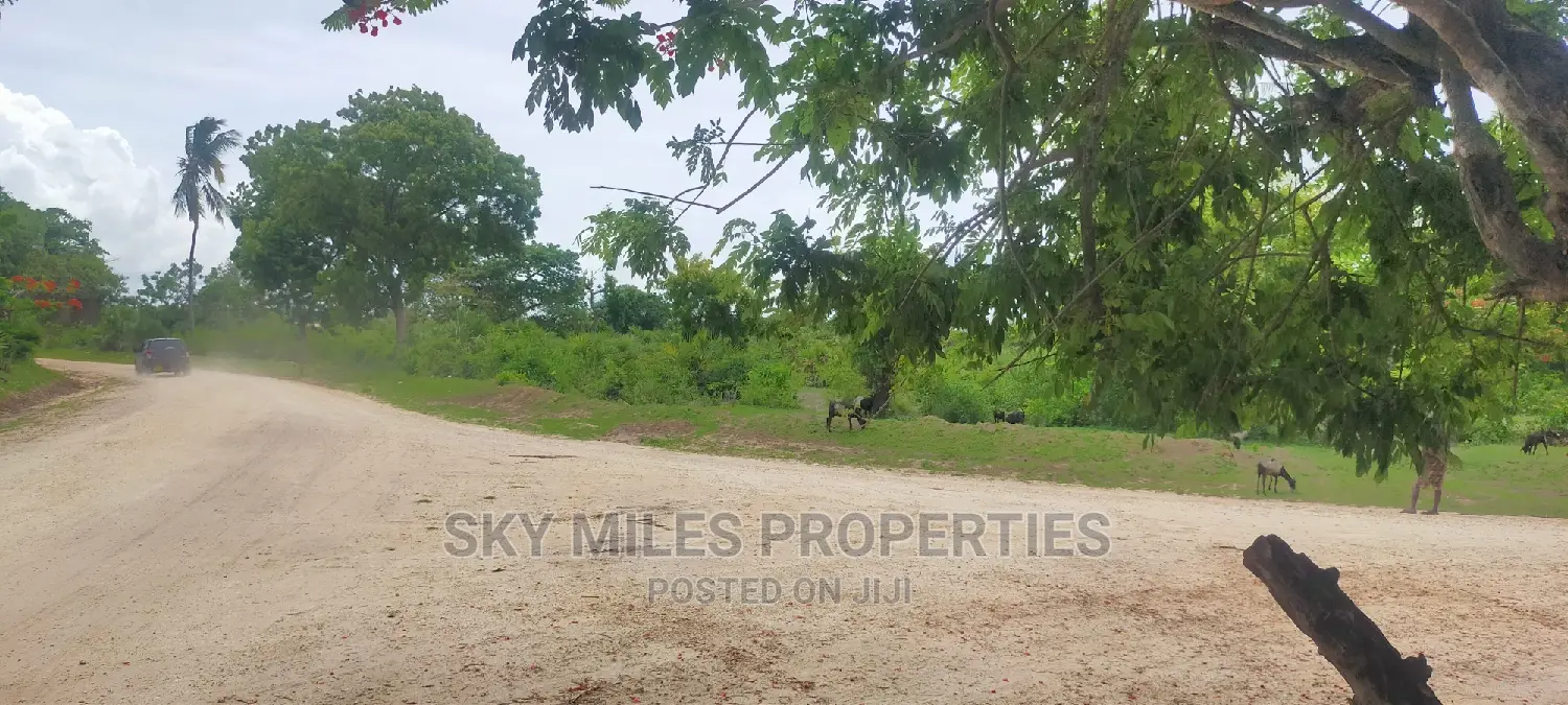 Second Row From the Beach,10 Acres on Sale.