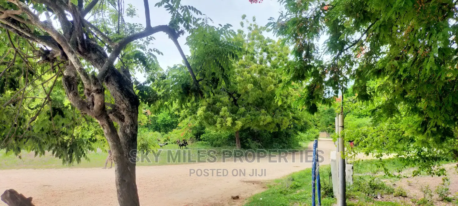 Second Row From the Beach,10 Acres on Sale.