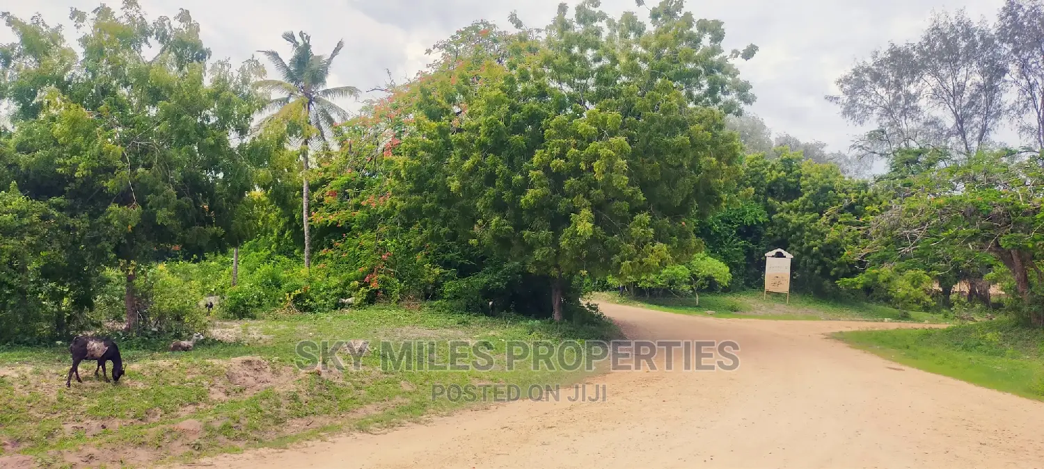 Second Row From the Beach,10 Acres on Sale.