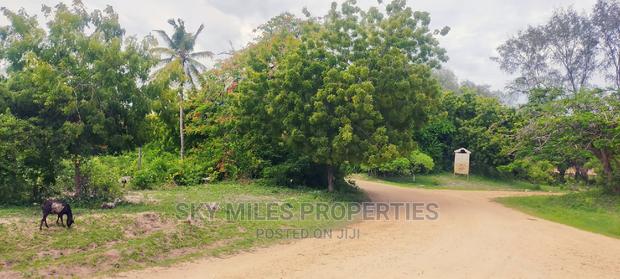 Second Row From the Beach,10 Acres on Sale. - thumbnail 13