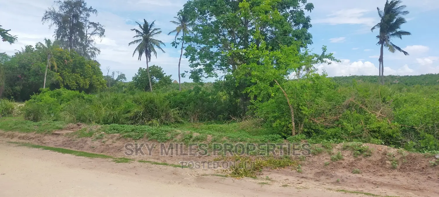 Second Row From the Beach,10 Acres on Sale.