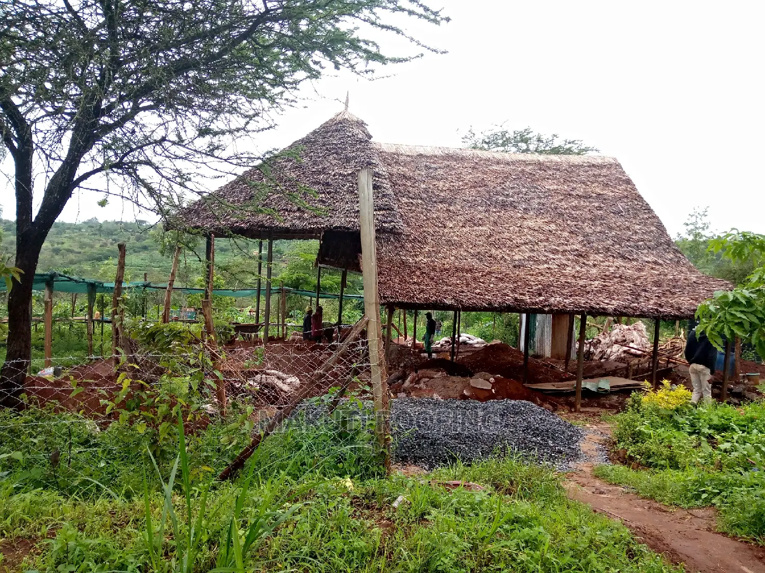 Makuti Roofing