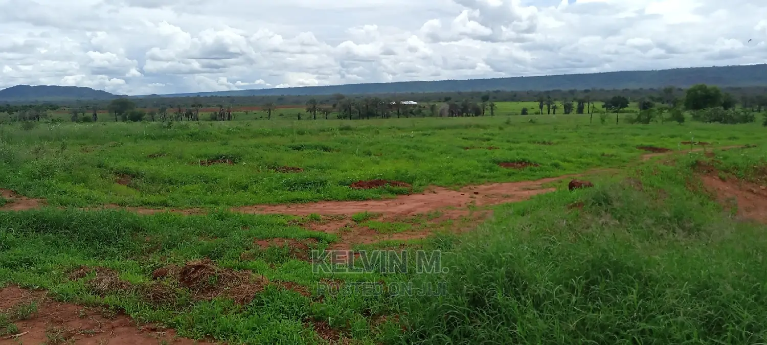 200 Acres Farm/Agricultural Land and House on Sale
