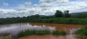200 Acres Farm/Agricultural Land and House on Sale