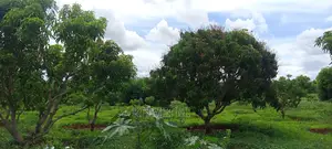 200 Acres Farm/Agricultural Land and House on Sale