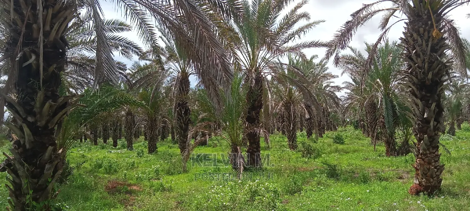 200 Acres Farm/Agricultural Land and House on Sale