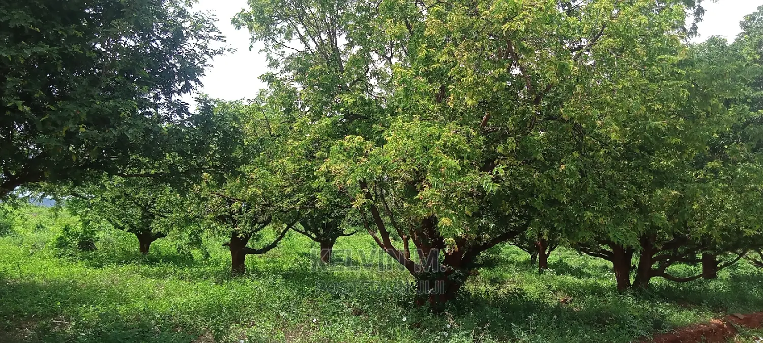 200 Acres Farm/Agricultural Land and House on Sale