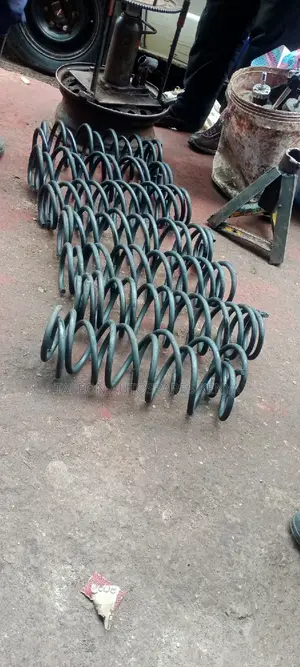 Heavy Duty Springs for Ractis,Fielder New Shape