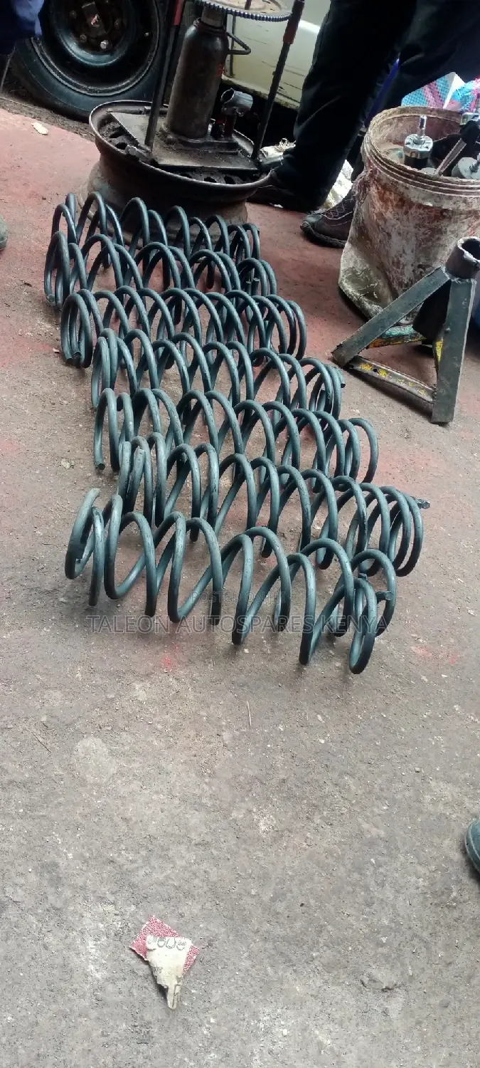 Heavy Duty Springs for Ractis,Fielder New Shape