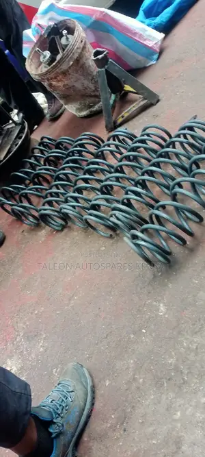 Ex Japans Heavy-Duty Springs for Probox New Model