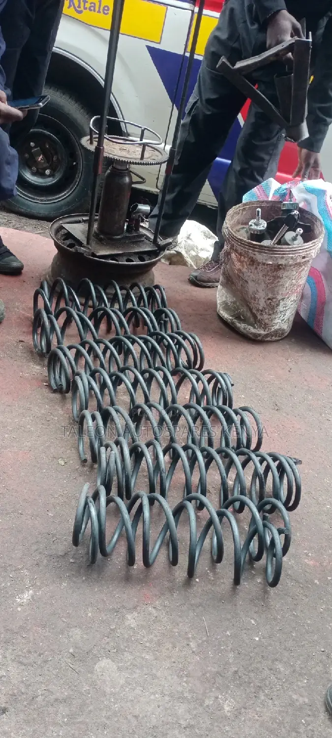 Ex Japans Heavy-Duty Springs Wingroad