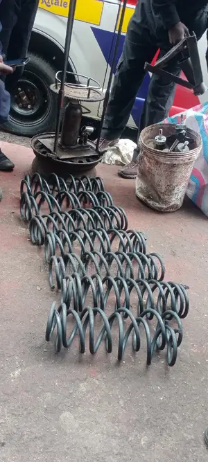 Ex Japans Heavy-Duty Springs Wingroad
