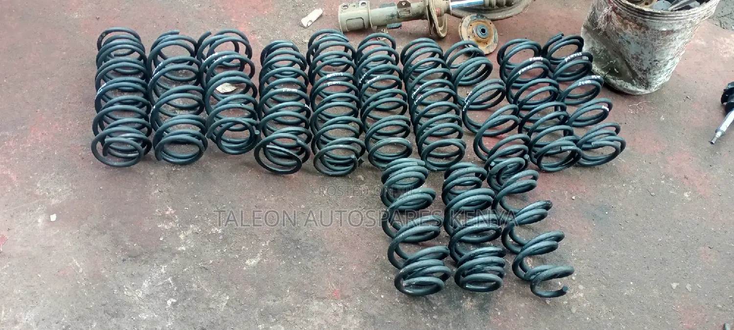 Ex Japans Heavy-Duty Springs Auris