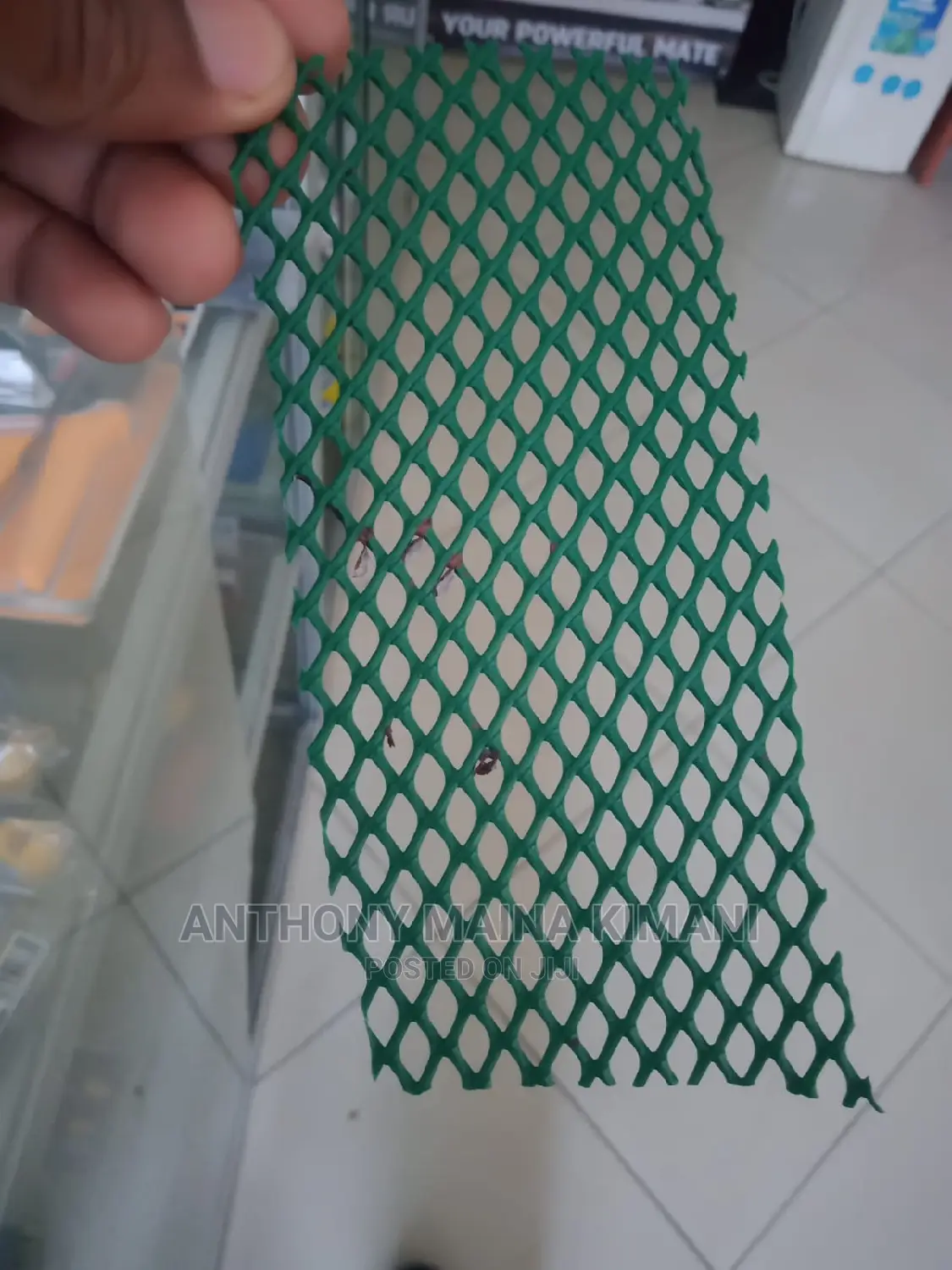 Plastic Mesh