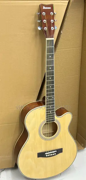 Ibanez Rose Wood Acoustic Guitar (Natural) 40 Inch