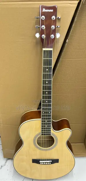 Ibanez Rose Wood Acoustic Guitar (Natural) 40 Inch