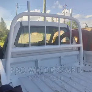 Roll Bar/Roll Cage
