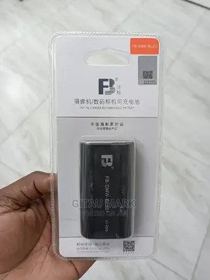 DMW-Blj31 Battery for Panasonic Dc-S1 Camera