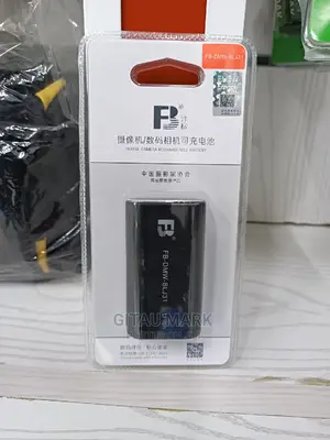 DMW-Blj31 Battery for Panasonic Dc-S1 Camera