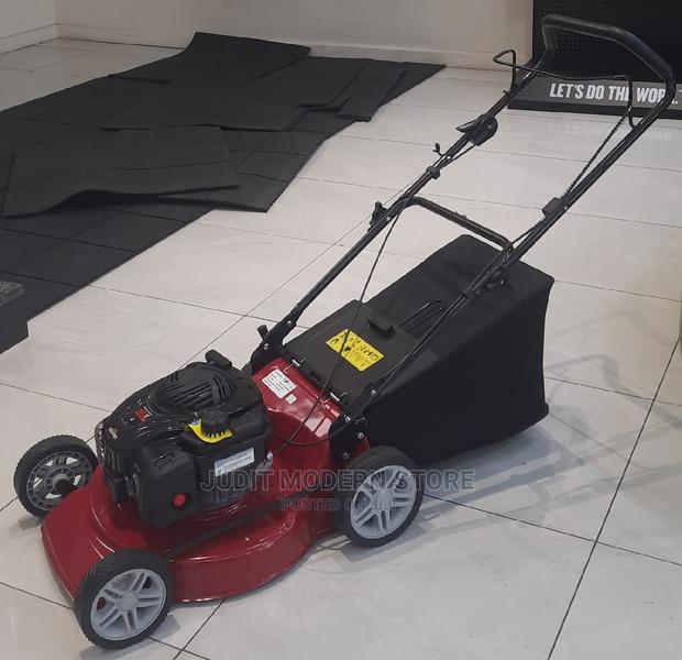 Briggs and Stratton 16inches 3.5hp - main view